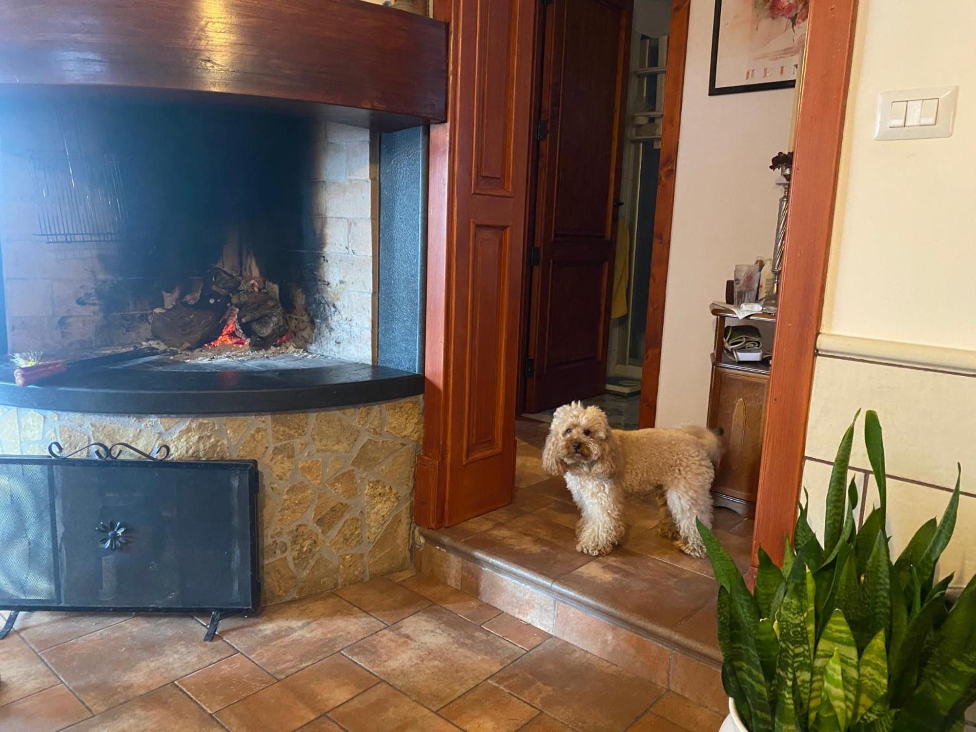 Masseria Tre Archi & Apulia Relais Gentiluomo Стая снимка